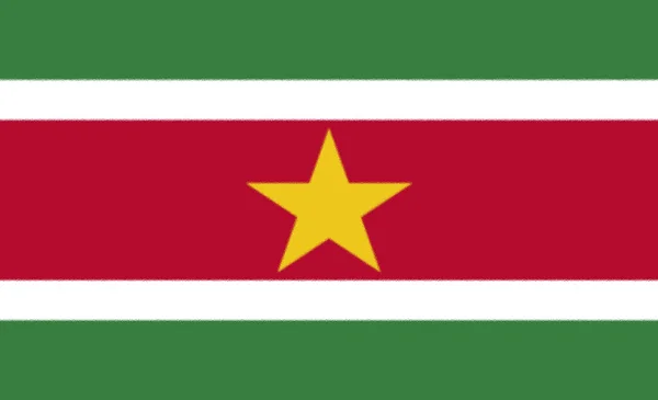 Bandeira Suriname Ícone Vetorial — Fotografia de Stock