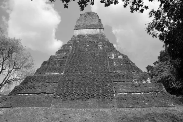 Tikal Gwatemala 2016 Stanowisko Archeologiczne Prekolumbijskiej Cywilizacji Majów Parku Narodowym — Zdjęcie stockowe