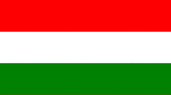 Historia Texturizada Bandera Húngara — Foto de Stock
