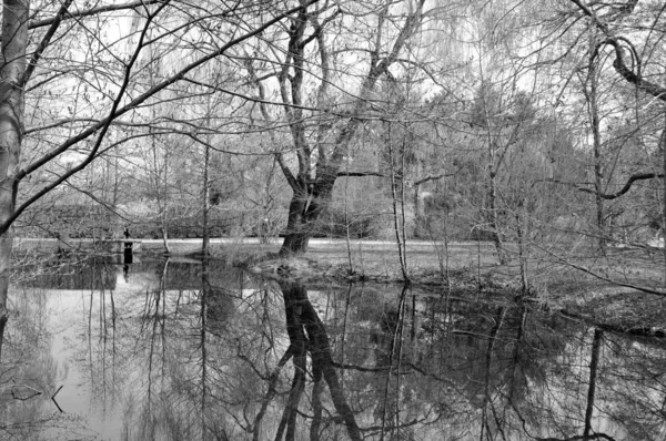 Zwart Wit Foto Van Een Bevroren Meer — Stockfoto