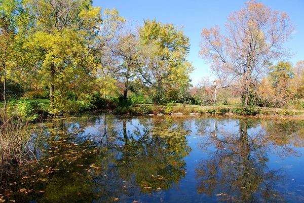 Schöne Herbstlandschaft Kleiner Teich Herbstpark Herbst Park — Stockfoto