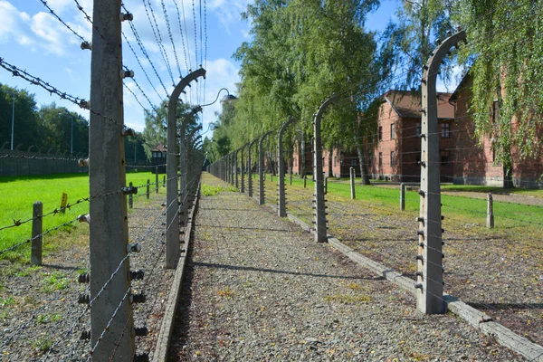 Auschwitz Birkenau Poland Auschwitz Concentration Camp Fences Network German Nazi —  Fotos de Stock