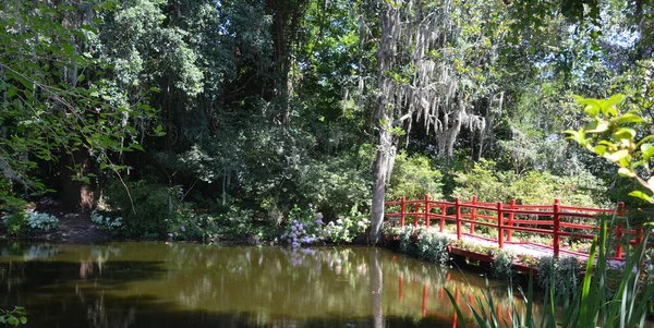 Bayou Magnolia Plantation Gardens Historic House Gardens Located Ashley River — Stock Photo, Image