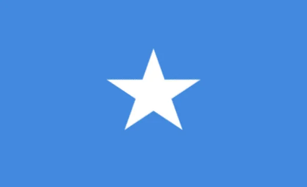 Somali Nin Vektör Bayrağı — Stok fotoğraf