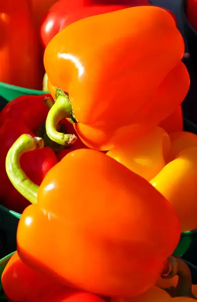 Pimentos Vermelhos Amarelos — Fotografia de Stock