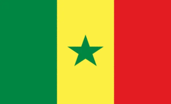 Сенегальський Прапор Мовний Ікона Ізольований Малюнок — стокове фото
