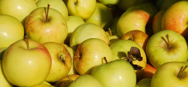 Nahaufnahme Von Roten Und Grünen Äpfeln — Stockfoto