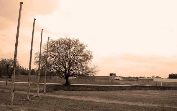 Sachsenhausen Oranienburg Germany May Postos Pendentes Para Torturar Prisioneiros Sachsenhausen — Fotografia de Stock