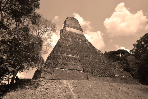 Tikal Guatemala Maj 2016 Den Arkeologiska Platsen För Den Pre — Stockfoto