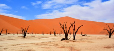 Deadvlei, Namibya 'daki Namib-Naukluft Parkı' nın içindeki Sossusvlei 'nin daha ünlü tuz tepsisi yakınlarında bulunan bir tavadır. Ayrıca Deadvlei ya da Dead Vlei olarak da bilinir, adı 