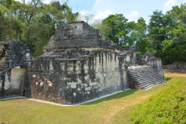 TIKAL, GUATEMALA MAYIS 03 2016: Guatemala Tikal Ulusal Parkı 'ndaki Kolomb öncesi Maya uygarlığının arkeolojik alanı 1979' dan beri UNESCO Dünya Mirası Alanı 'dır.