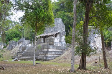 TIKAL, GUATEMALA MAYIS 03 2016: Guatemala Tikal Ulusal Parkı 'ndaki Kolomb öncesi Maya uygarlığının arkeolojik alanı 1979' dan beri UNESCO Dünya Mirası Alanı 'dır.