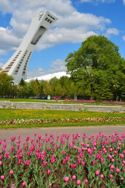 MONTREAL CANADA 08 21 2019: Montreal botanik bahçesi dünyanın en önemli botanik bahçelerinden biri olarak kabul edilmektedir.