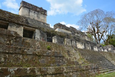 TIKAL, GUATEMALA MAYIS 03 2016: Guatemala Tikal Ulusal Parkı 'ndaki Kolomb öncesi Maya uygarlığının arkeolojik alanı 1979' dan beri UNESCO Dünya Mirası Alanı 'dır.