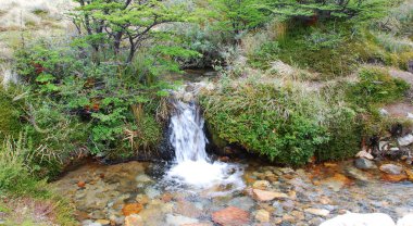 Ulusal Park Los Glaciares, Patagonya 'daki Monte Fitz Roy dağının manzarası Arjantin ve Şili sınırında. Güney Patagonya Buz Sahası 'nda, El Chalten Köyü yakınlarında yer almaktadır.