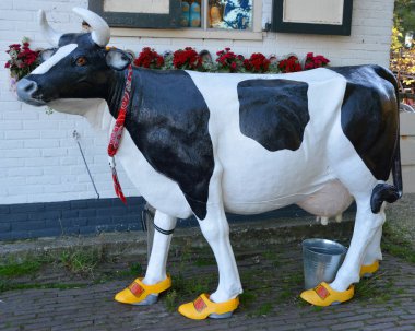 ZAANSE SCHANS NETHERLANDS 10 01 2015: Clara Maria Peynir Çiftliği ve Clog Fabrikası önünde takunyalı inek heykeli ayakkabıları. Takunya ve inekler Hollanda 'nın iki sembolüdür..