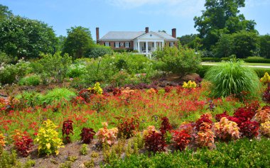 Charleston Güney Carolina 28 Haziran 2016: Mount Pleasant 'taki Boone Hall Çiftliği' nin ana evi, kayıp orijinal evin yerini alan büyük bir Koloni Diriliş çiftlik evi içeriyor. 