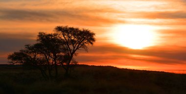 Güzel çölde gün batımı, Namibya 