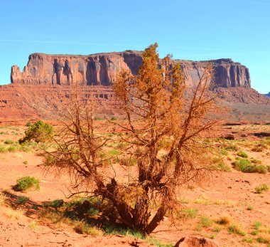Monument Valley, Colorado Platosu 'nun bir bölgesidir ve vadi zemininin üzerinde devasa kum taşı poposu kümesidir. Arizona-Utah eyalet sınırında yer almaktadır.