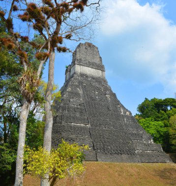 TIKAL, GUATEMALA MAYIS 03 2016: Guatemala Tikal Ulusal Parkı 'ndaki Kolomb öncesi Maya uygarlığının arkeolojik alanı 1979' dan beri UNESCO Dünya Mirası Alanı 'dır.