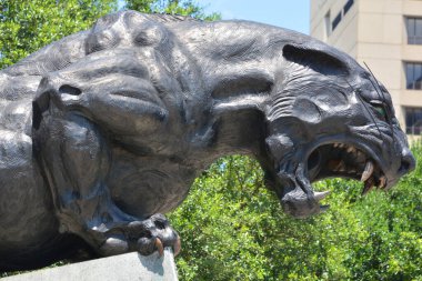 Charlotte North Carolina 21 Haziran 2016: Carolina Panteri 'nin bronz heykeli ev sahibi oldukları Bank of America Stadyumu önünde.