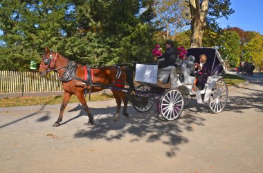 NEW YORK CITY USA OCT 27: Horse carriage rider in Central Park, on ocotber 27 2013 in New York City. Horse-Drawn Carriages are a wonderful way to experience the beauty of the Central Park.