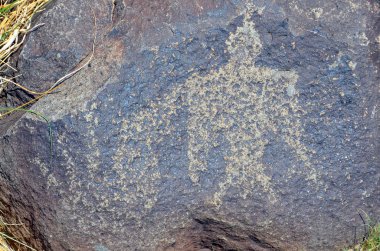 Petroglyph Ulusal Anıtı, Kuzey Amerika 'nın en büyük petrol sahalarından birini koruyor. Volkanik kayalara Amerikan ve İspanyol yerleşimciler Albuquerque, New Mexico