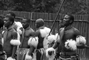 MANZINI, SWAZILAND - 25 Kasım 2010 Manzini, Svaziland 'daki bir Swazi şovunun sunumunda kimliği belirsiz genç erkekler geleneksel giysiler giyer ve dans eder.