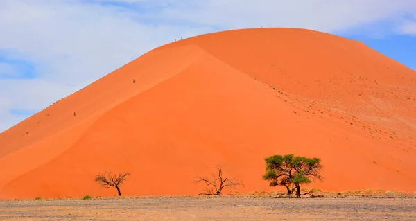 Öken Namibia Afrika — Stockfoto