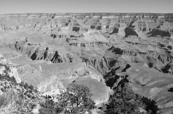 그랜드 Grand Canyon 콜로라도 가장자리에 가파른 협곡으로 그랜드 그랜드 캐니언 — 스톡 사진