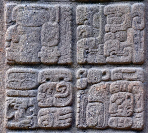 Tikal Guatemala Maya Stelae Monument Som Skapades Maya Civilisationen Forntida — Stockfoto