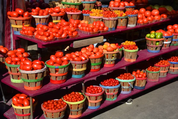 Tomatoes Jean Talon Market Фермерський Ринок Монреалі Розташований Районі Мала — стокове фото