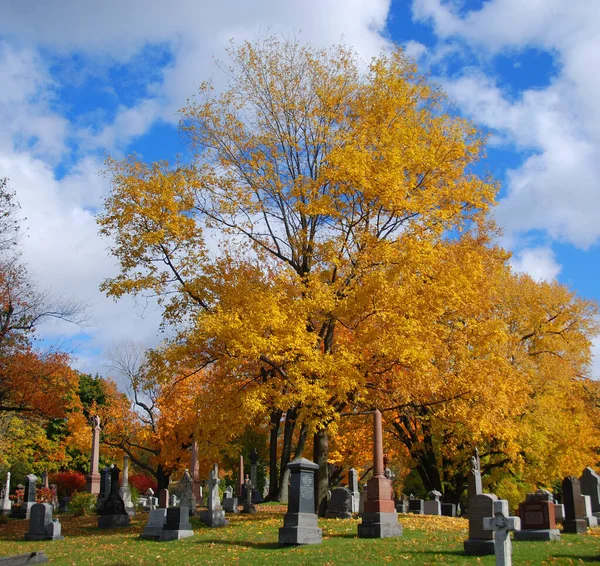 秋天有墓碑的旧坟场 — 图库照片