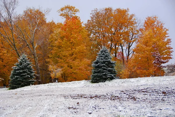 Paisaje Finales Otoño Bromont Municipio Del Este Quebec Canadá —  Fotos de Stock