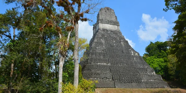Tikal Guatemala Május 2016 Kolumbusz Előtti Maja Civilizáció Régészeti Lelőhelye — Stock Fotó