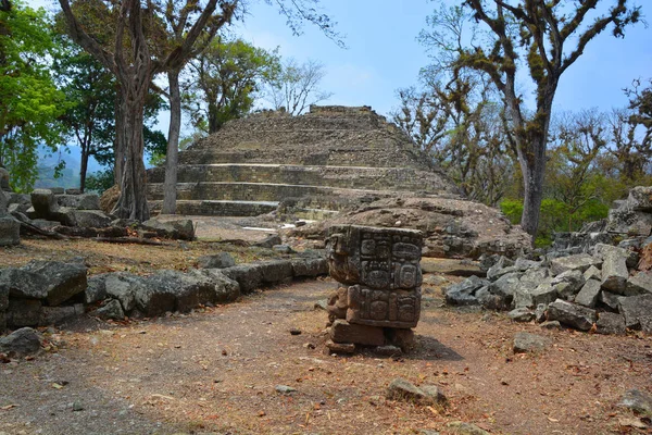 Tikal Guatemala May 2016 Archaeological Site Pre Columbian Maya Civilization — Stock Photo, Image