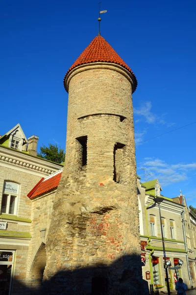 Tallinn Estonia September 2015 Стіна Єднує Вежі Нунна Сауна Кулджала — стокове фото