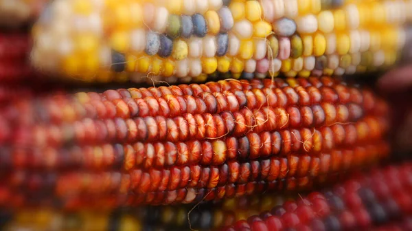 Mais Indiano Essiccato Allegro Colorato Cesto Come Decorazione Tavola Del — Foto Stock