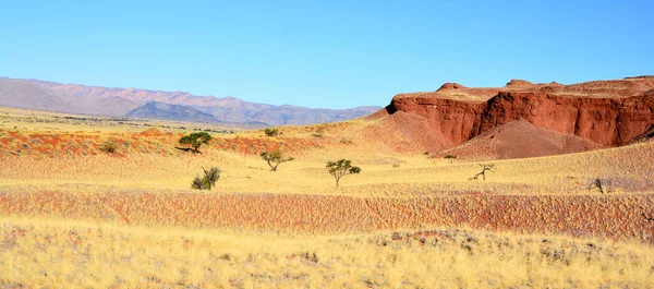 Krajobraz Pustyni Namib Namibii — Zdjęcie stockowe
