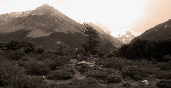 Krajobraz Góry Monte Fitz Roy Parku Narodowym Los Glaciares Patagonia — Zdjęcie stockowe