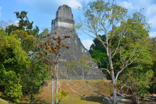 Tikal Gwatemala 2016 Stanowisko Archeologiczne Prekolumbijskiej Cywilizacji Majów Parku Narodowym — Zdjęcie stockowe