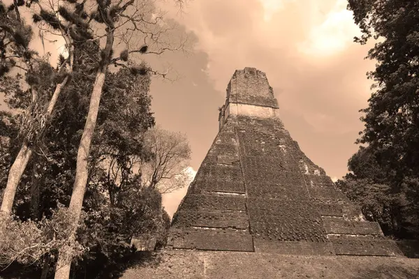 Tikal Guatemala Maio 2016 Sítio Arqueológico Civilização Maia Pré Colombiana — Fotografia de Stock