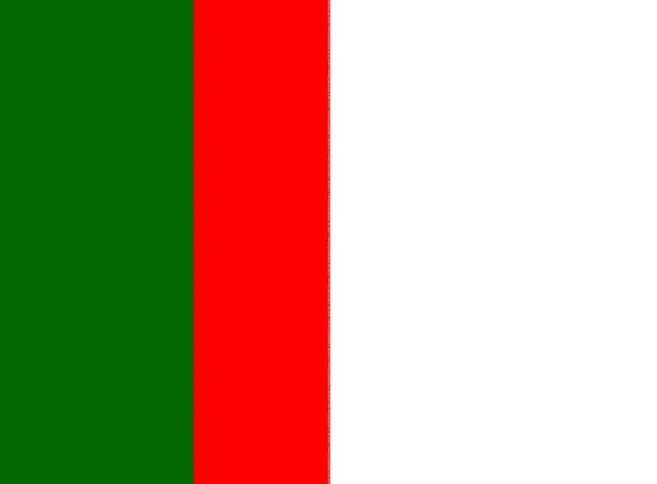 Bandera Oficial Hungary Flat Large Size Vertical —  Fotos de Stock