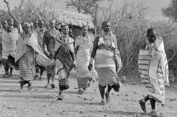 Amboseli Kenya Ottobre Persone Africane Non Identificate Della Tribù Masai — Foto Stock