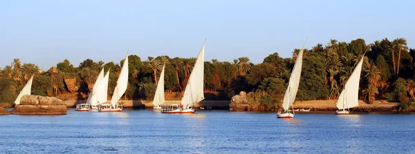 Aswan Egypte Nov Felucca Vaart Nijl Bij Aswan Egypte Nov — Stockfoto