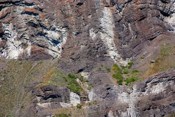 Détails Paysage Patagonie Argentine — Photo