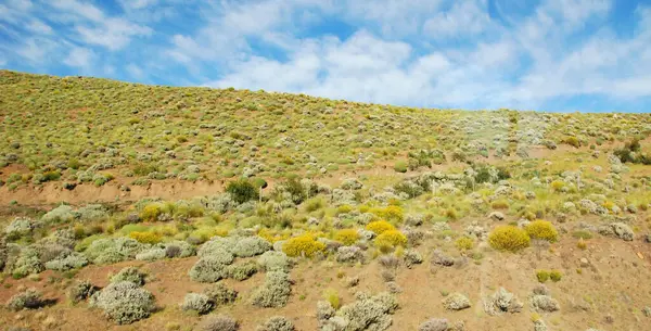 Landschaft Der Patagonischen Provinz Santa Cruz Argentinien Süden Des Landes — Stockfoto