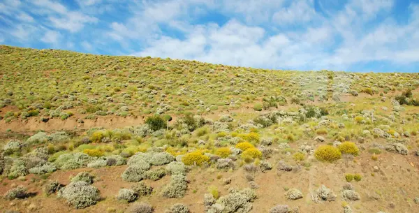 Krajina Patagonské Provincie Santa Cruz Argentina Nachází Jižní Části Země — Stock fotografie