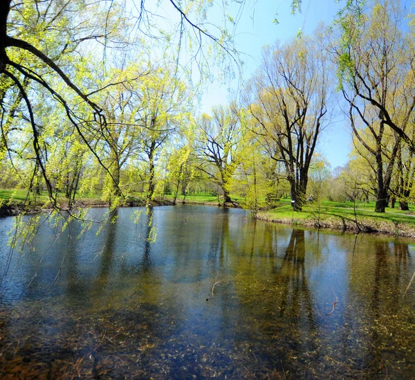 Paysage Printanier Québec Provibnce Canada — Photo