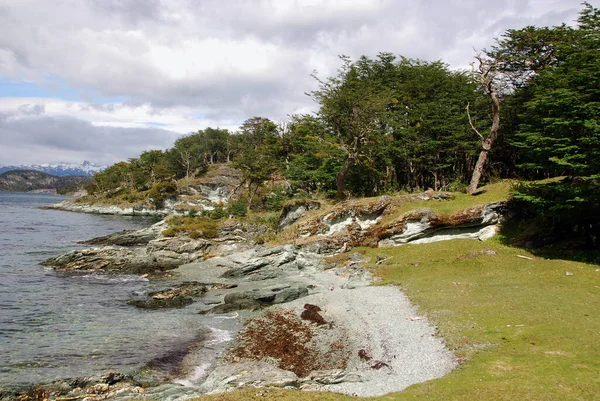 티에라델푸에고 Tierra Del Fuego National Park 아르헨티나 티에라델푸에고 공원으로 파타고니아 — 스톡 사진